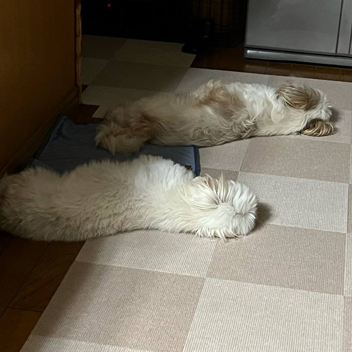 D6e9ddb6 8ab1 4963 a836 a81ef9fd947e 1659522243206