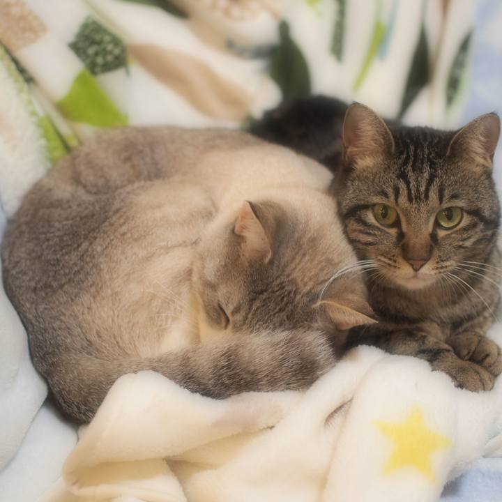 D6e9ff77 a752 4458 8284 de8bc4426feb 1553166327565