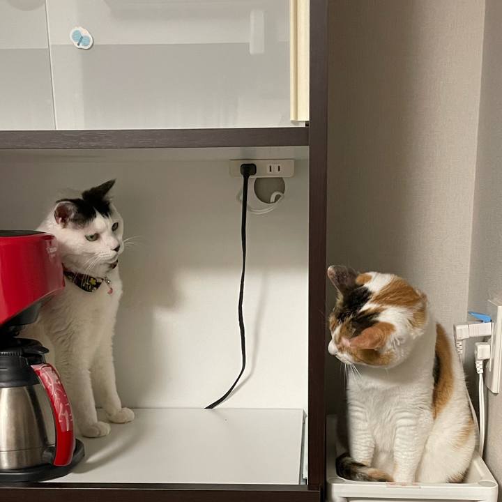 D6ea1904 2b36 46f5 8e23 0afad2b53126 1654175205123