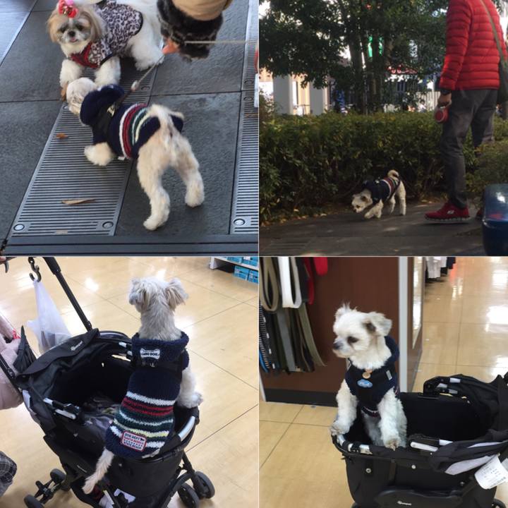 D6ea2f00 8166 4eb8 9d57 96ce9bb64d9f 1545653374206