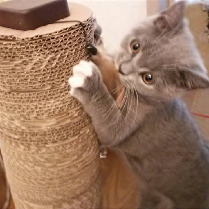 D6ea832d 0520 4032 a4be 0024e6982110 1533963163477