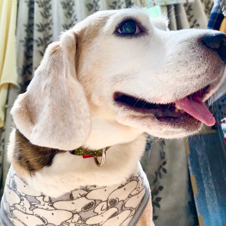 D6ea95e5 cc4a 40f5 a2f1 8bab05ac1f9f 1651290256282