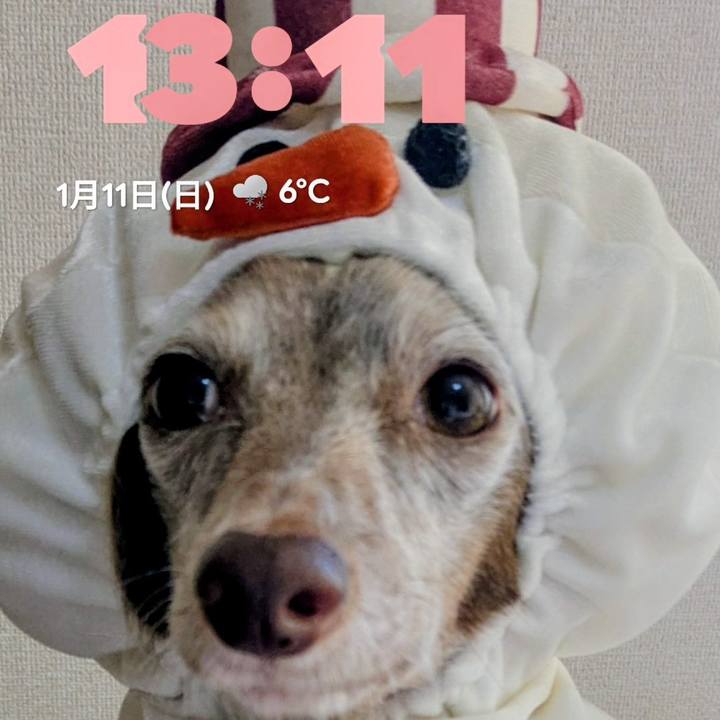 D6eab7a6 70b4 46a2 8597 33d50170d343 1768105189239