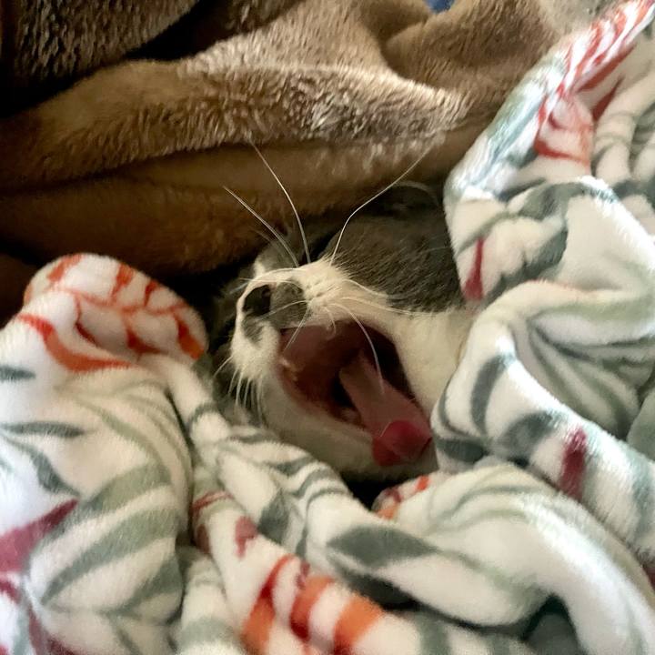 D6eb174e ee33 4d20 afdb 1f5e0cac31ad 1672126280355