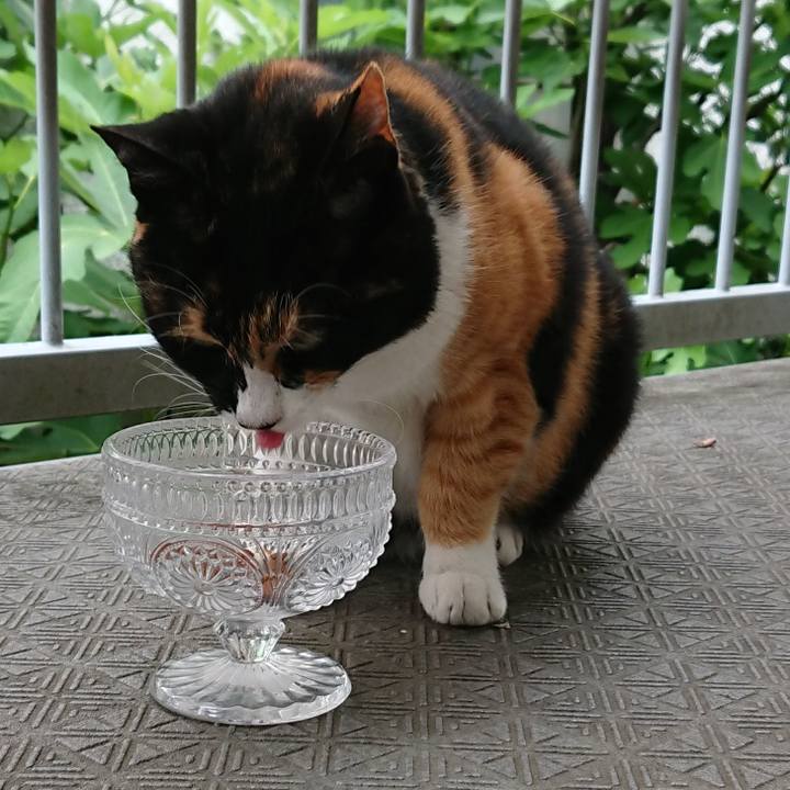 D6eb71ef 95c5 4aae b5ac bb4fcf5eabb0 1529125798298