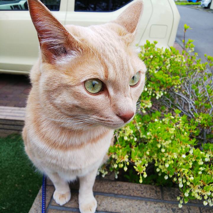 D6eb90e4 acc6 4663 b909 c01a893a1fd1 1621051292608