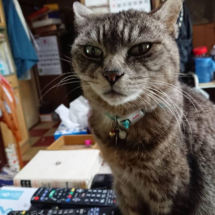 D6eba0d7 a277 44c5 aae5 0d191a37dd03 1557529039491