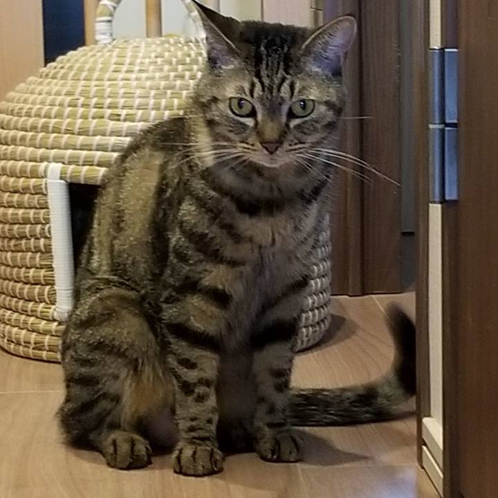 D6ebbed7 0422 45ab bf7a bc8c728a8329 1567324178757