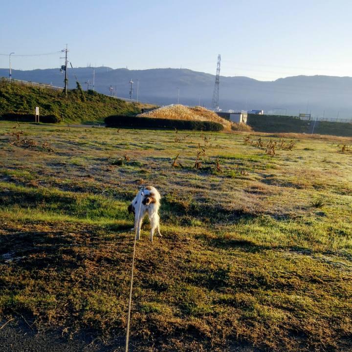 D6ebf8a8 fe75 46b7 8f56 68260d5d77ef 1543104300182