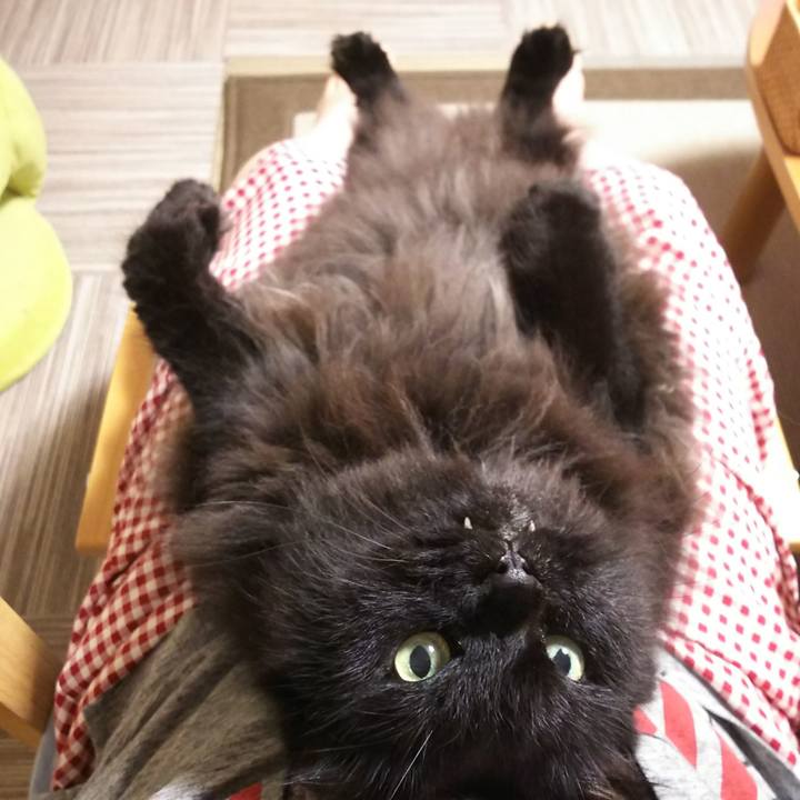 D6ec0388 b95a 439c 8a04 5ac05ff9a778 1567510590302