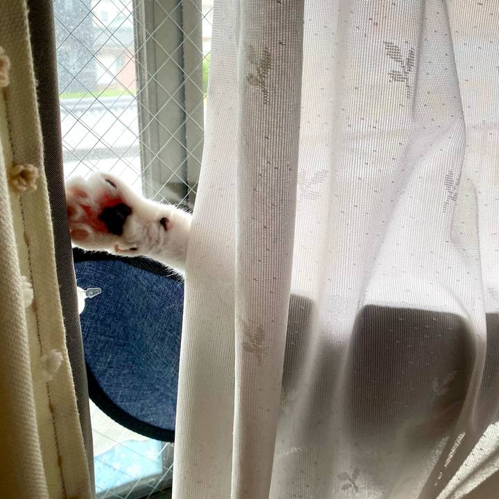 D6ec04d1 b76b 4b8a bf6b 59d03b1195ff 1653281444505