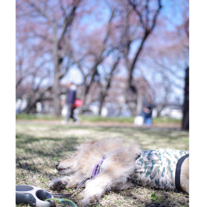 D6ec4fd5 15c8 4277 9f97 0e34d0a2d710 1555143831224