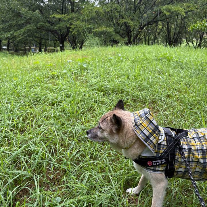 D6ec822b cb57 4f79 b239 681a275b53d5 1754913905435