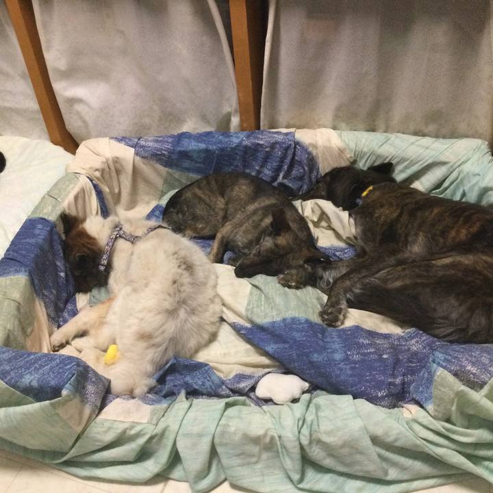 D6eca341 b870 47fd 84fb 2777016c1f38 1615376619171