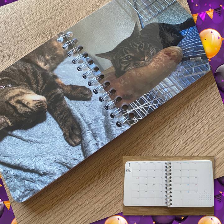 D6ecb853 19a6 4231 b6da 1bc3cede4ee1 1603174421540