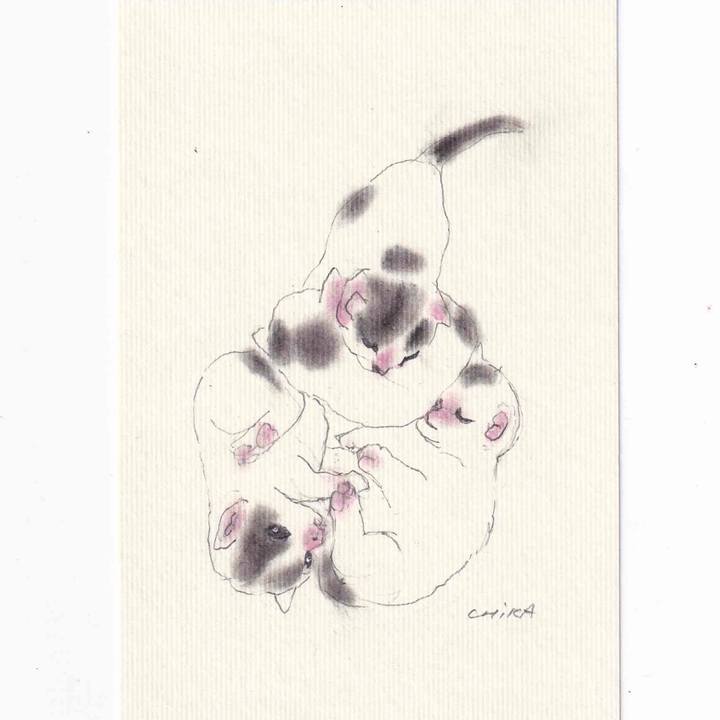 D6ecbd3c 8406 4917 8689 eb161a8f2515 1619454276002