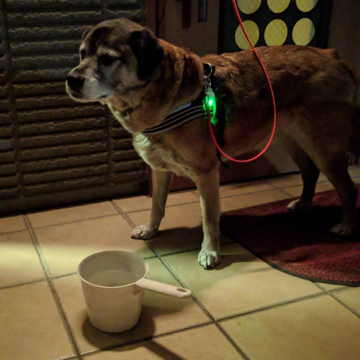 D6ecdfd8 c97e 4486 89ca b91f059cbbdf 1551179066297