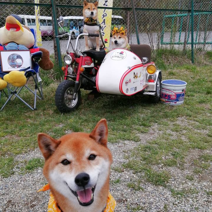 D6ed0a6d bb05 441b 9062 00f9847099b9 1650900183385