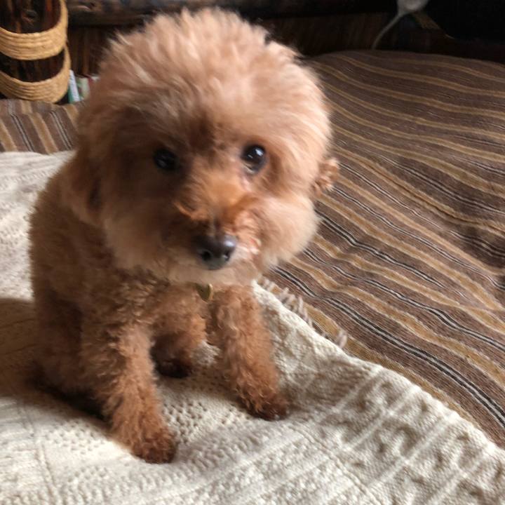 D6ed34dc ed1c 422c ad59 83d5aee37b1f 1581165456277