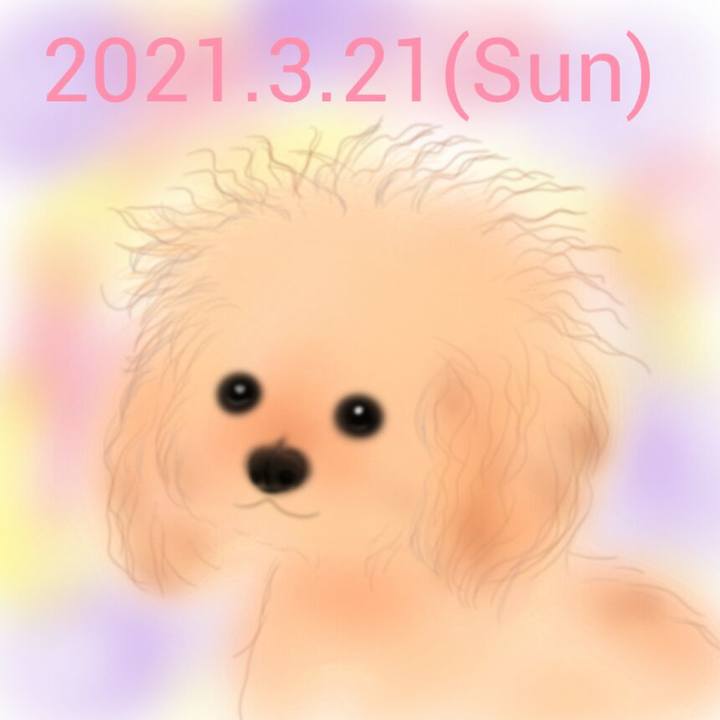 D6ed7c2d 6266 4085 bdd3 111899d04d9c 1616314262985