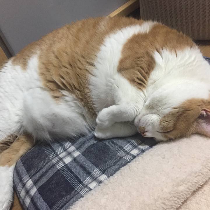 D6ed7e7a 43db 4821 bf90 4f3b658d037c 1514724626747