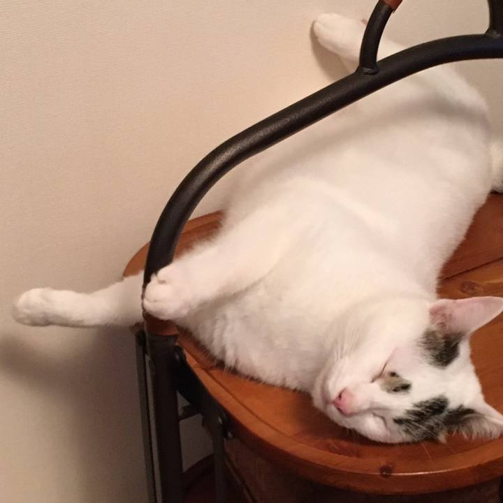 D6edac86 820f 4a37 8974 6812c34fb068 1631612869049