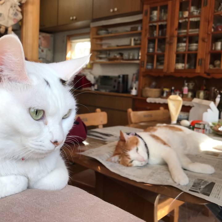 D6edb681 d55f 44e4 9d6a 21e3288d37ce 1555715055853