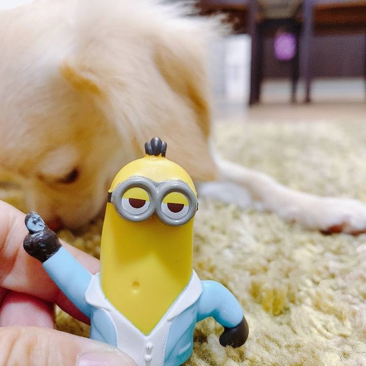 D6edc5d9 9383 4b15 8979 d9666485fd77 1596780667732