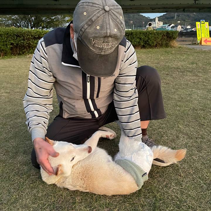 D6edc5f2 8d0b 493d b254 146c6c9e2d2b 1668509193343