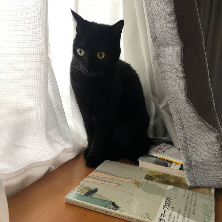 D6edec2d 7cad 4e5e 9c7a 7c658fc15ea9 1601509403830