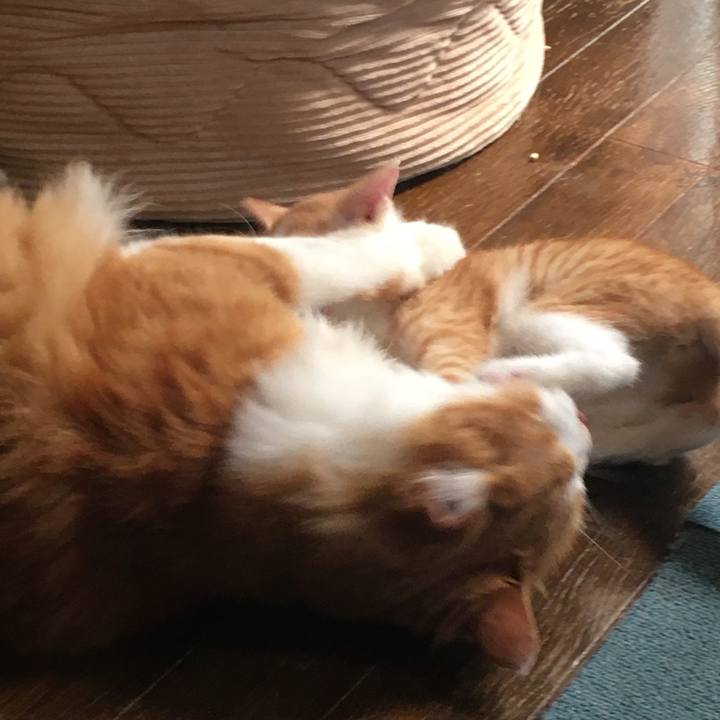 D6edf2c2 a6dd 4908 95e5 aa22c735e4a6 1631677211266