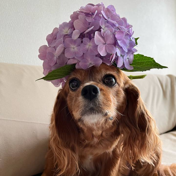 D6ee2df7 6a98 4f91 9872 fbd96f416251 1687731527310