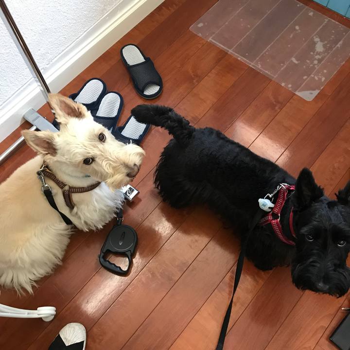 D6ee4c63 a26f 4f5c 9bd3 8028a2411422 1525061398079