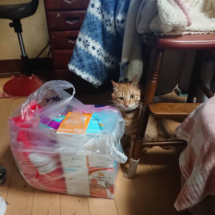 D6ee4ec2 74af 4537 a771 f14f025b418e 1645786448751