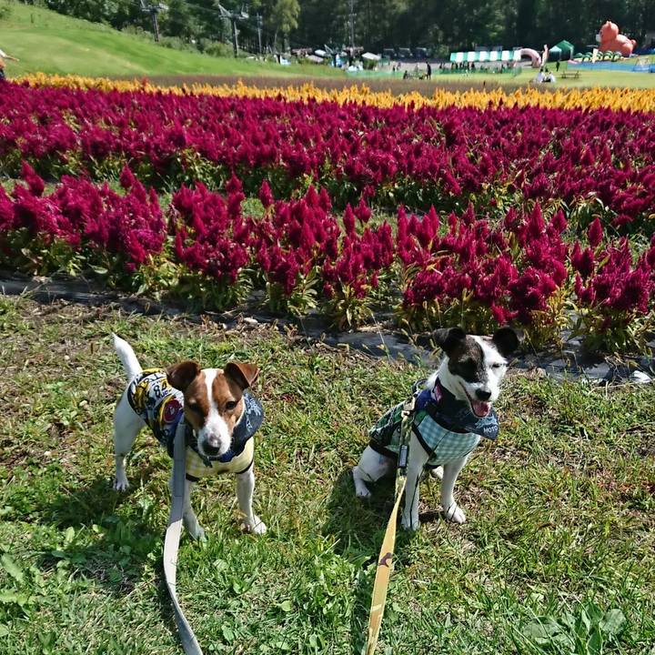 D6ee6ede ac75 4ce6 bc0a b1d4d3d79a8f 1537680418336