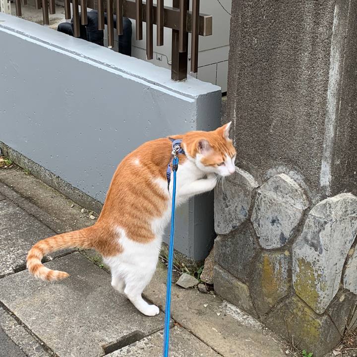 D6ee8992 4a92 4d95 b217 f8285bb99d3b 1578829830660