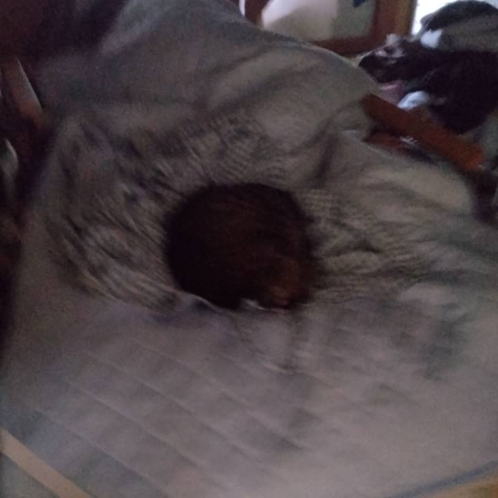 D6ef0383 4eac 4ae7 97fb 3e1c40e4bd1b 1716329318592