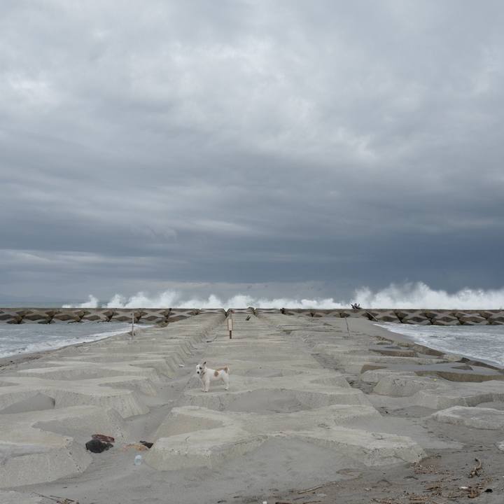 D6ef1789 c86d 4f2f 8647 1365dd985df8 1568955753677