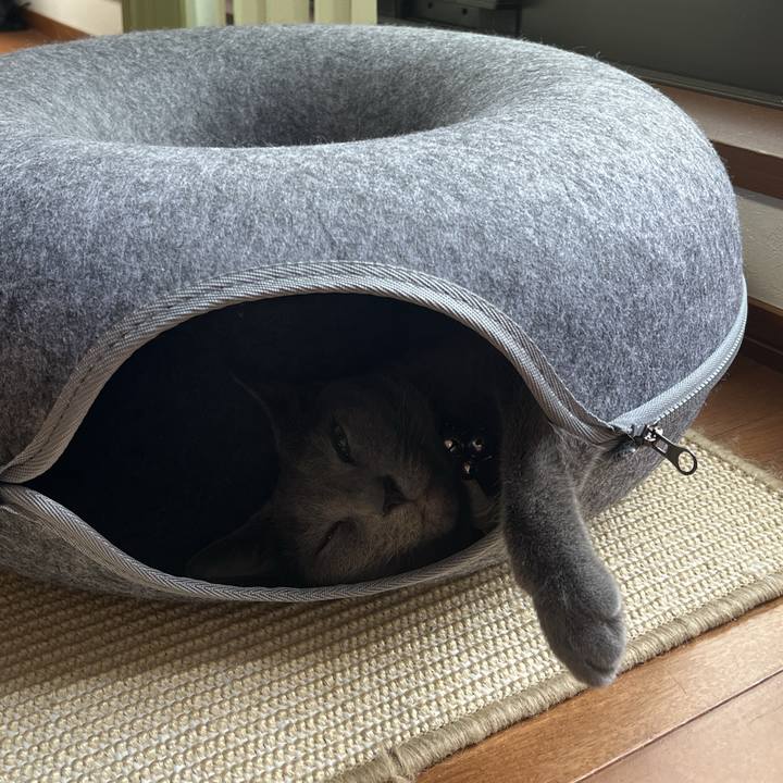 D6ef3157 2958 4490 ab85 526a7585c378 1717833153309