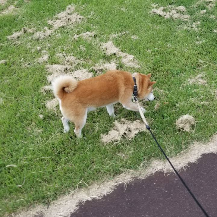 D6ef6851 9cde 4909 b1d6 fef1825aa9fb 1664263023839