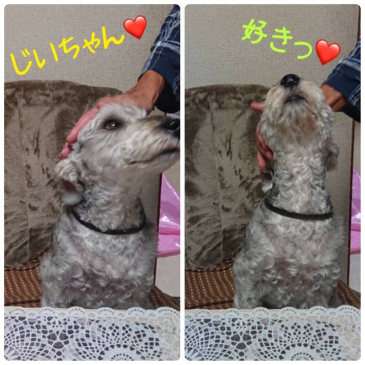 D6ef7153 7fa4 461f 943b ea7b9116555f 1603452501384