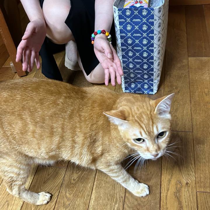 D6efd475 0a04 4969 a5dd 9103b0d40edf 1688745394799