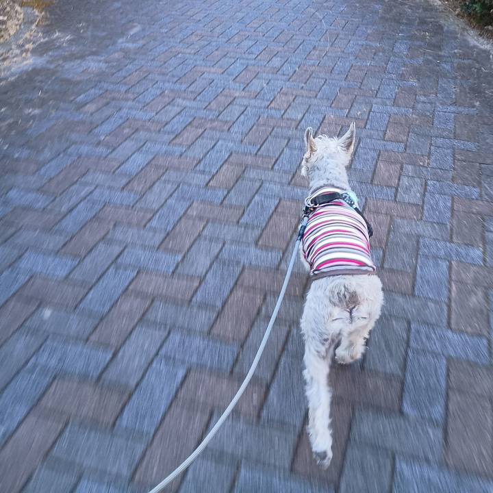 D6efe54e 3ba3 4bae 94fe 3045a871d448 1771502051268