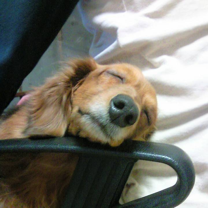 D6efe76c 484f 4958 be40 f952e879f41f 1531418574428