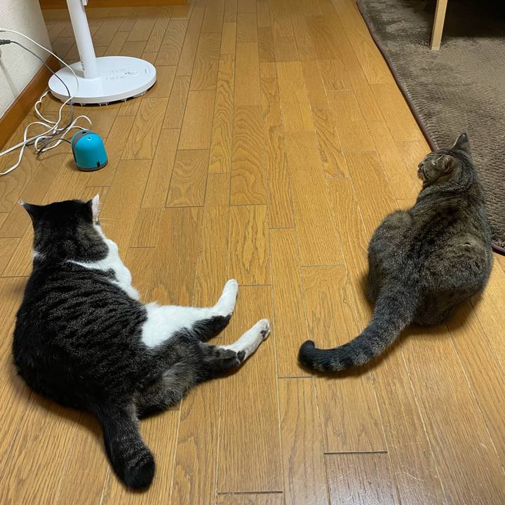 D6f01ea5 b11d 4bac a81e 91e2623eae6e 1632308246561