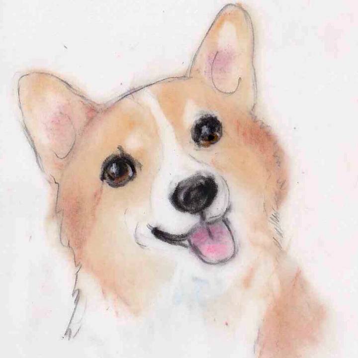 D6f02e6d effe 46bc b955 61a47a8a83a6 1631319900916