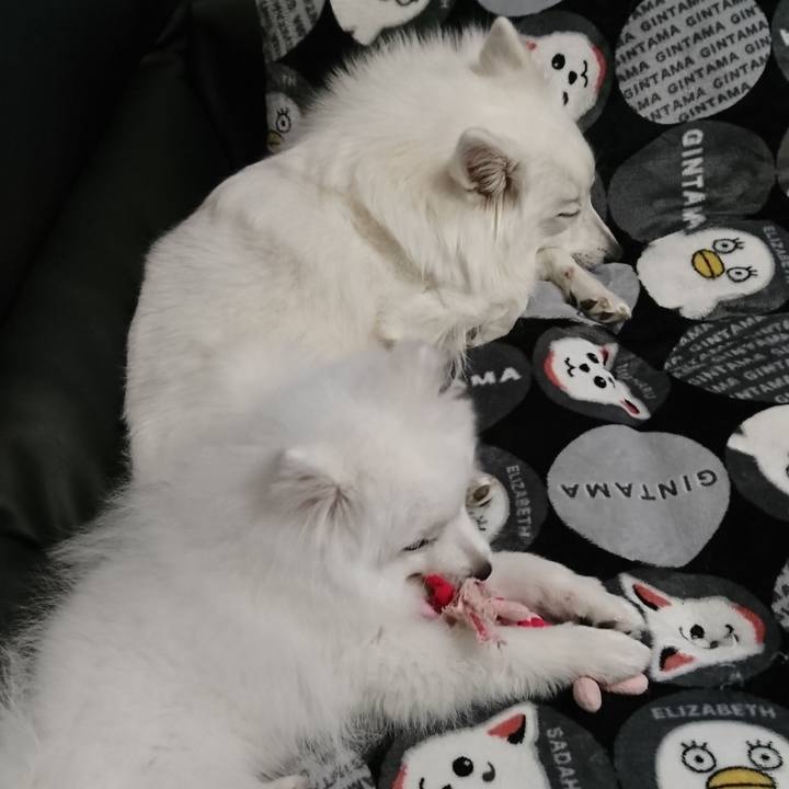 D6f04f8b 00c1 436b 813e 3dfe7406ec78 1548599610872