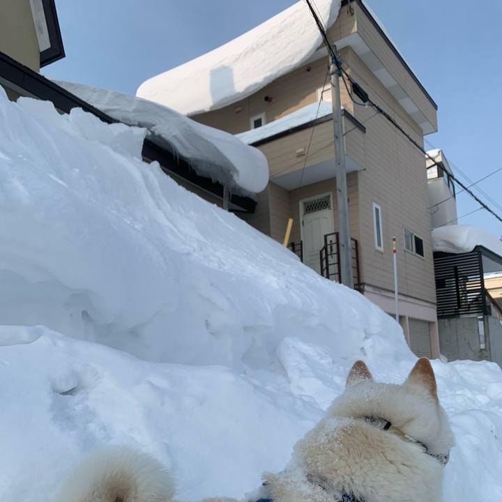 D6f0539f a21a 4747 a8b7 65d6fd1069ba 1644884254635