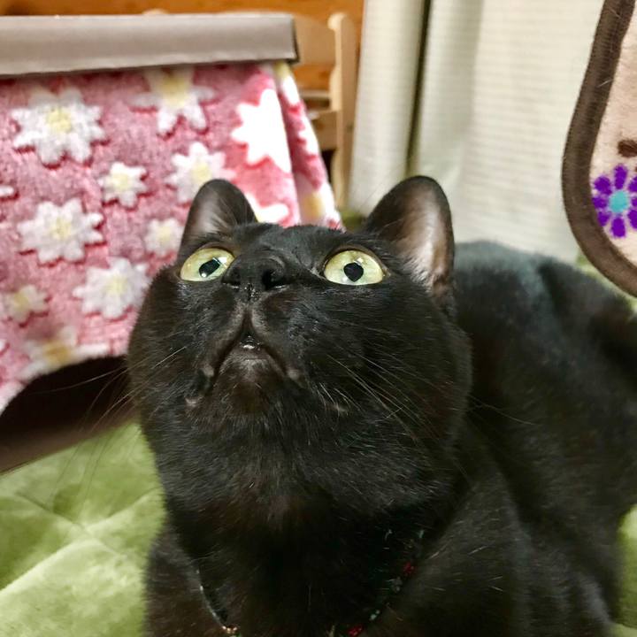 D6f05fda 00e1 4476 9b41 bb5b27b9bd73 1515720580677