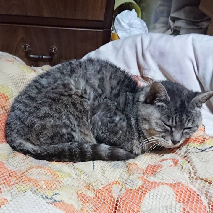 D6f07c44 fb94 49cc a70d ddd13b509a5e 1572006516818